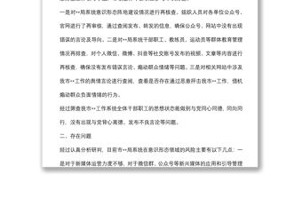 市局開展意識形態領域風險隱患排查情況報告