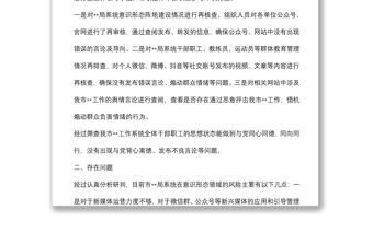 市局開展意識形態(tài)領域風險隱患排查情況報告