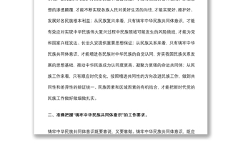 鑄牢中華民族共同體意識(shí) 創(chuàng)建民族團(tuán)結(jié)進(jìn)步模范區(qū)（研討材料）