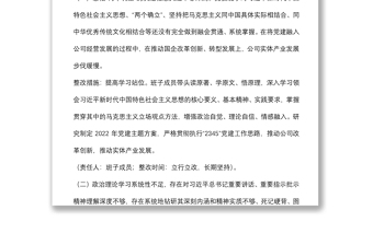 集團公司黨委2021年專題民主生活會領導班子整改方案