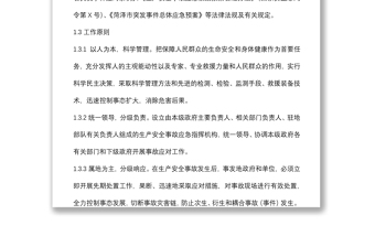 生產(chǎn)安全事故應(yīng)急救援預(yù)案