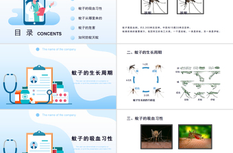 2022预防登革热防蚊灭蚊主题班会PPT创意清新医疗急救常识通用PPT模板