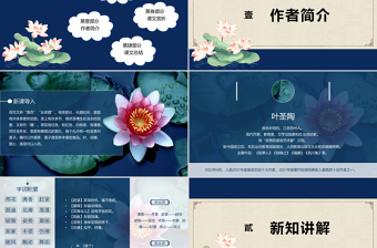2022荷花PPT第3課小學三年級語文下冊部編人教版教學課件