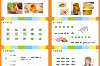 2022琥珀PPT第5課小學四年級語文下冊部編人教版教學課件