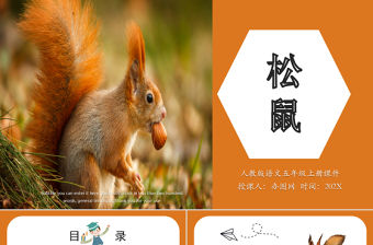 2022松鼠PPT第17課小學五年級語文上冊部編人教版教學課件