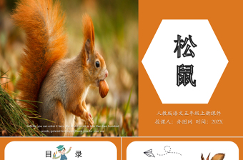 2022松鼠PPT第17課小學(xué)五年級(jí)語(yǔ)文上冊(cè)部編人教版教學(xué)課件