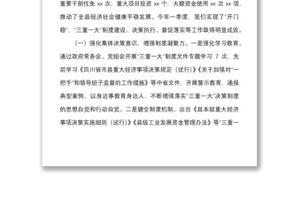 全縣三重一大決策制度落實(shí)情況報(bào)告范文工作匯報(bào)總結(jié)