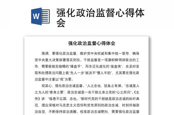 強化政治監督心得體會