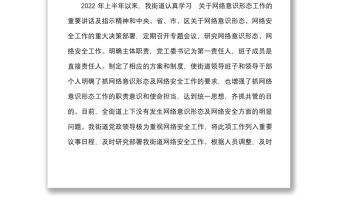 2022年上半年網絡意識形態及網絡安全工作匯報范文工作總結報告