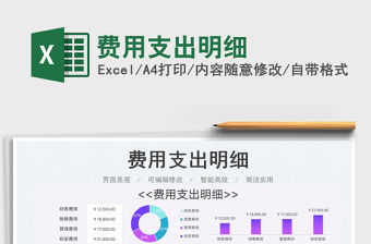 2023費(fèi)用支出明細(xì)免費(fèi)下載