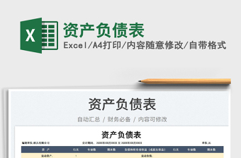 2023資產(chǎn)負(fù)債表免費(fèi)下載