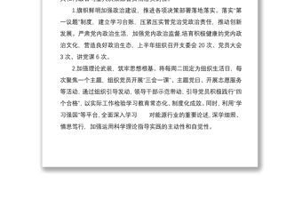 支部2022年上半年黨建工作總結(jié)