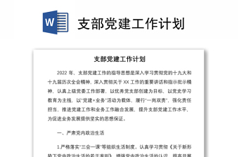 支部黨建工作計劃