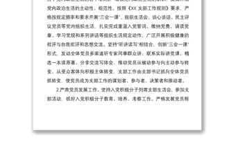 支部黨建工作計劃