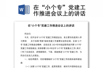 在“小個?！秉h建工作推進會議上的講話