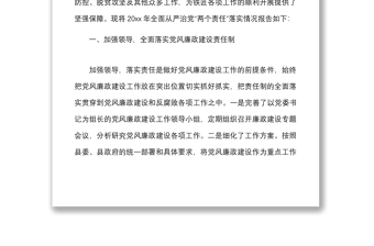 乡镇全面从严治党两个责任落实情况自查报告范文工作汇报总结