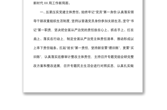 XX局全面从严治党工作总结、党组书记抓基层党建述职报告