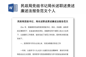 民政局黨組書記局長述職述責述廉述法報告范文個人