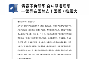 青春不負(fù)韶華 奮斗融進(jìn)理想——領(lǐng)導(dǎo)在團(tuán)總支（團(tuán)委）換屆大會上的講話