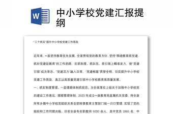 中小學(xué)校黨建匯報(bào)提綱
