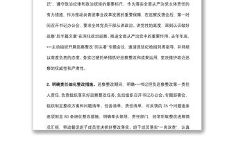 某局關(guān)于巡察整改落實情況的自查報告