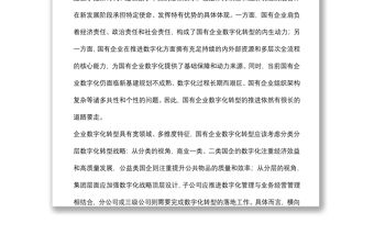 《國有企業數字化轉型的特點、路徑與政策選擇》研討發言
