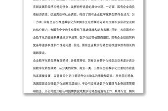 《國有企業(yè)數字化轉型的特點、路徑與政策選擇》研討發(fā)言