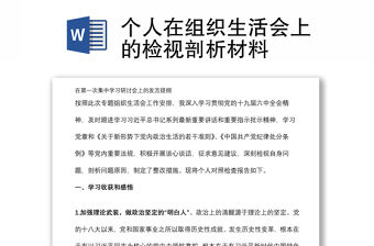 個(gè)人在組織生活會(huì)上的檢視剖析材料