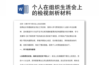 個人在組織生活會上的檢視剖析材料