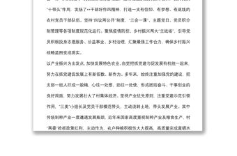 黨支部基層黨組織典型事跡材料