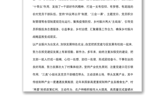 黨支部基層黨組織典型事跡材料