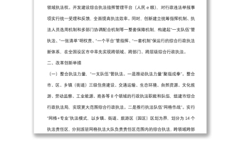 綜合行政執(zhí)法體制改革調(diào)研報(bào)告