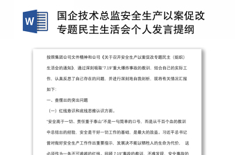 國(guó)企技術(shù)總監(jiān)安全生產(chǎn)以案促改專題民主生活會(huì)個(gè)人發(fā)言提綱