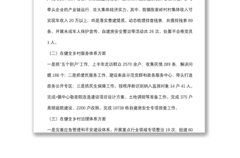 鎮(zhèn)深化黨建引領(lǐng)鄉(xiāng)村治理工作情況匯報(bào)