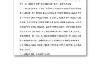 局黨組全面從嚴治黨工作總結