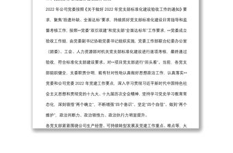 公司2022年黨支部標(biāo)準(zhǔn)化建設(shè)工作總結(jié)