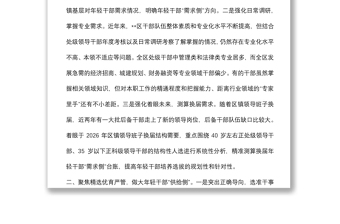 年輕干部隊(duì)伍建設(shè)工作匯報(bào)