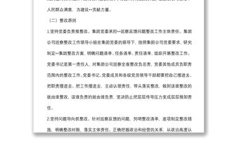 某國有企業落實巡察整改工作方案