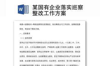 某國(guó)有企業(yè)落實(shí)巡察整改工作方案