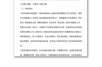 某國有企業(yè)落實巡察整改工作方案