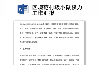 區(qū)規(guī)范村級小微權(quán)力工作匯報