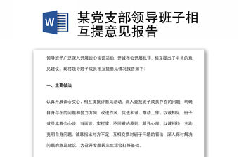 某黨支部領導班子相互提意見報告
