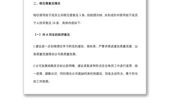 某黨支部領導班子相互提意見報告