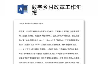 數字鄉村改革工作匯報