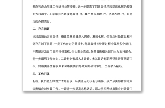 街道關(guān)于網(wǎng)絡(luò)輿情應(yīng)對(duì)處置工作匯報(bào)
