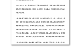 2022年上半年鄉(xiāng)鎮(zhèn)黨建工作總結(jié)匯報
