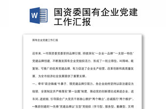 國資委國有企業黨建工作匯報