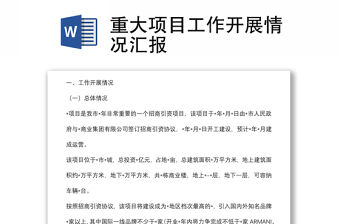 重大項目工作開展情況匯報