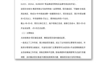 重大項目工作開展情況匯報