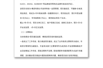 重大項目工作開展情況匯報